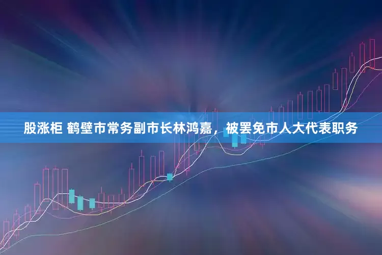 股涨柜 鹤壁市常务副市长林鸿嘉，被罢免市人大代表职务