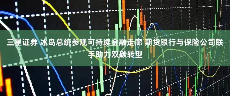 三星证券 冰岛总统参观可持续金融走廊 期货银行与保险公司联手助力双碳转型